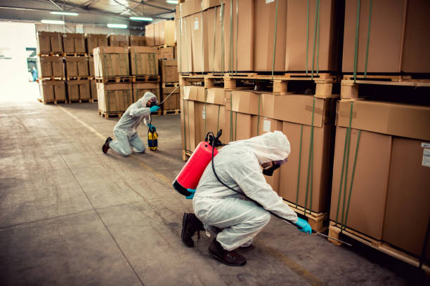 Best Rat Extermination Near Me  in West Wendover, NV