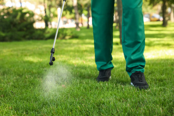 Best Wildlife Control Services  in West Wendover, NV
