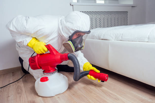 Reliable West Wendover, NV Pest Control Solutions