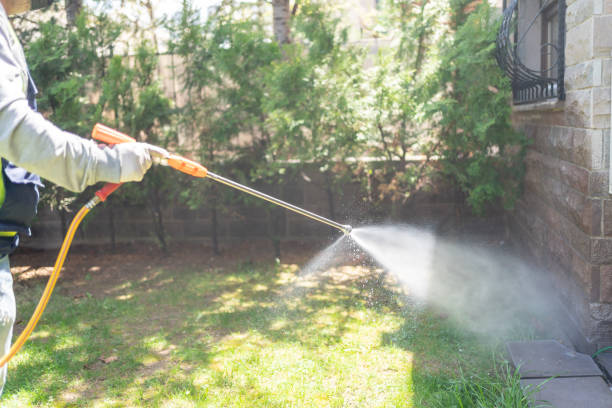 Best Pest Inspection Near Me  in West Wendover, NV