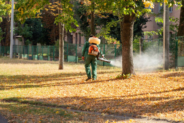 Best Wasp Removal Services  in West Wendover, NV