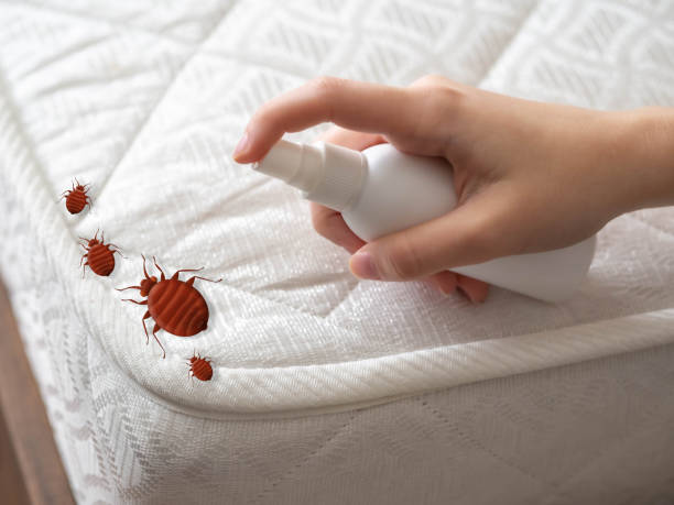 Best Pest Inspection Near Me  in West Wendover, NV