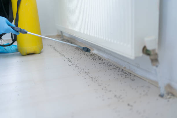 Best Pest Prevention Services  in West Wendover, NV